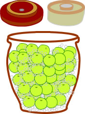 梅干し・梅漬けの作り方