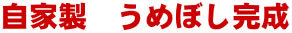 梅干し・梅漬けの作り方